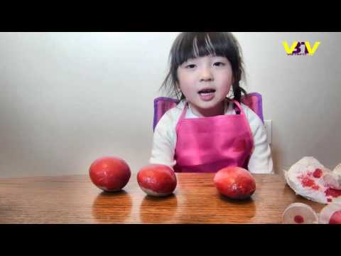 Vietbesttv- Kid Shows- Lady Bugs on Rocks by Thuyen