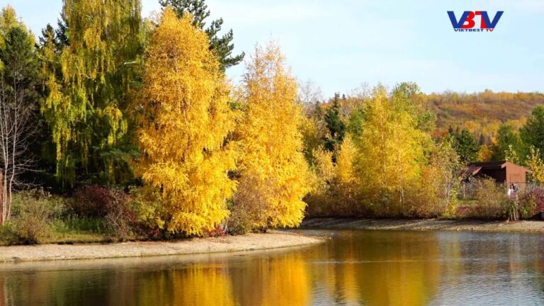 Vietbesttv: Thư Tình Cuối Mùa Thu-Giọng Ca Lâm Vĩnh (Edmonton)