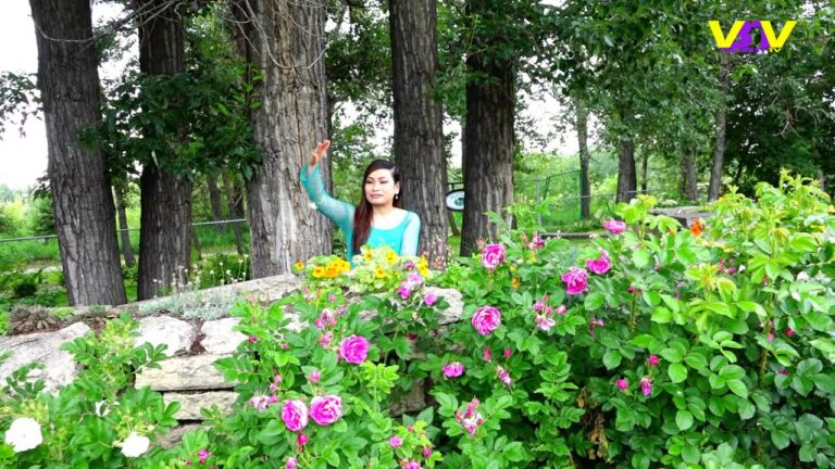 Vietbesttv: Mùa Xuân Trong Thư Em-Giọng Ca Lâm Vĩnh