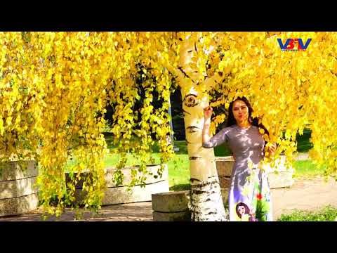 Vietbesttv: Phương Trời Xứ Lạ- Giọng Ca Lâm Vĩnh