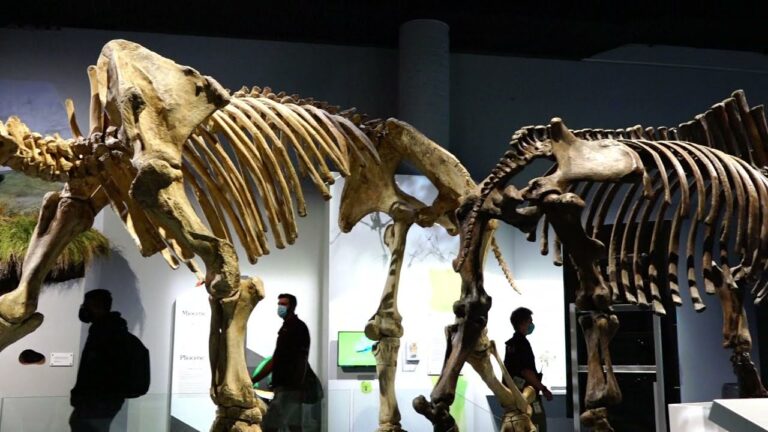 Vietbesttv: Royal Tyrrell Museum -Viện Bảo Tàng Khủng Long Drumheller, AB., Canada